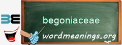 WordMeaning blackboard for begoniaceae